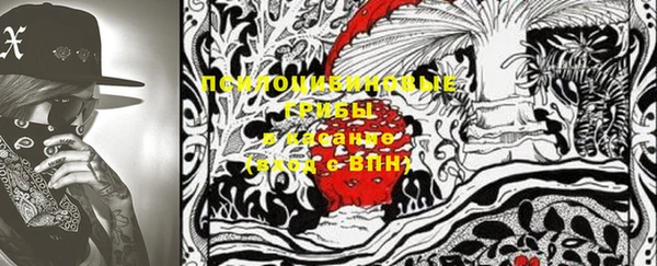 амф Пересвет