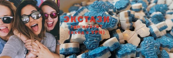 амф Пересвет