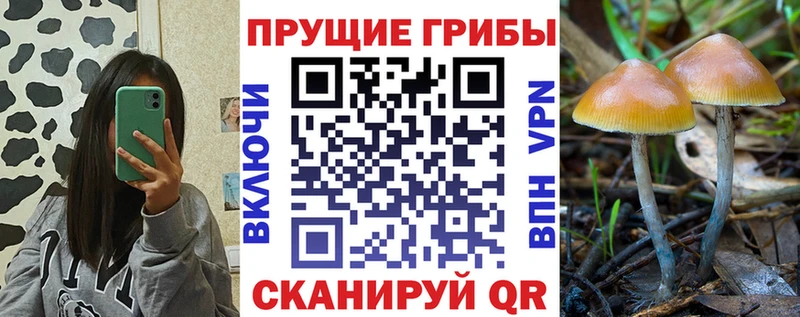 Галлюциногенные грибы Magic Shrooms  Купить где  Ярцево 